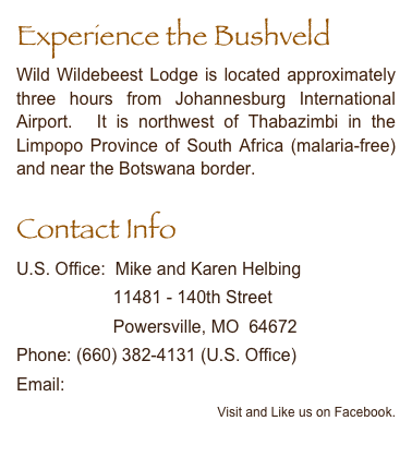 Experience the Bushveld
Wild Wildebeest Lodge is located approximately three hours from Johannesburg International Airport.  It is northwest of Thabazimbi in the Limpopo Province of South Africa (malaria-free) and near the Botswana border.
Contact Info
U.S. Office:  Mike and Karen Helbing
                    11481 - 140th Street
                    Powersville, MO  64672
Phone: (660) 382-4131 (U.S. Office)
Email:\helbing@wwbeest.com               
         Visit and Like us on Facebook.

