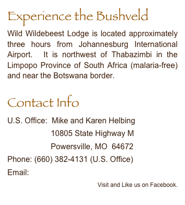 Experience the Bushveld
Wild Wildebeest Lodge is located approximately three hours from Johannesburg International Airport.  It is northwest of Thabazimbi in the Limpopo Province of South Africa (malaria-free) and near the Botswana border.
Contact Info
U.S. Office:  Mike and Karen Helbing
                    10805 State Highway M
                    Powersville, MO  64672
Phone: (660) 382-4131 (U.S. Office)
Email:\helbing@wwbeest.com               
         Visit and Like us on Facebook.
